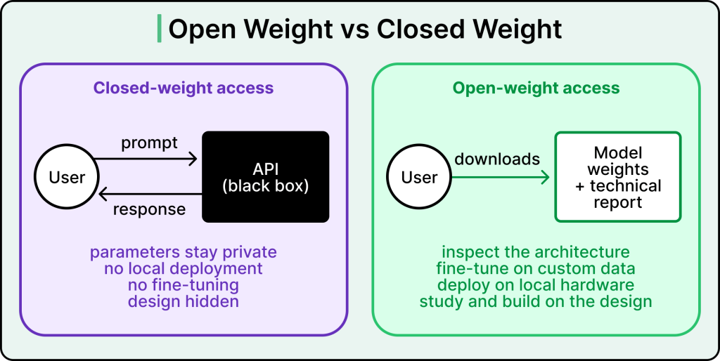 open weight vs closed weight AI model access